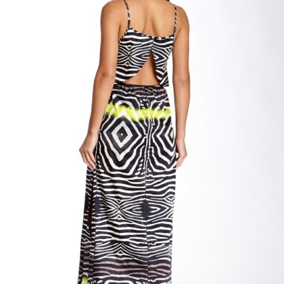 Line & Dot Zebra Print Neon Maxi - Picture 2 of 10